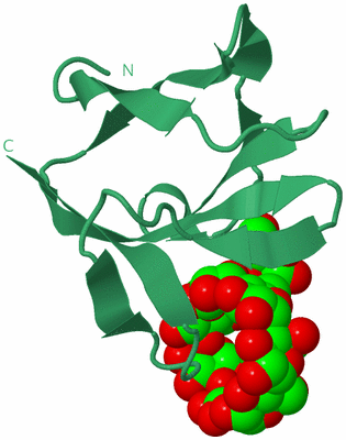 Image Biological Unit 17