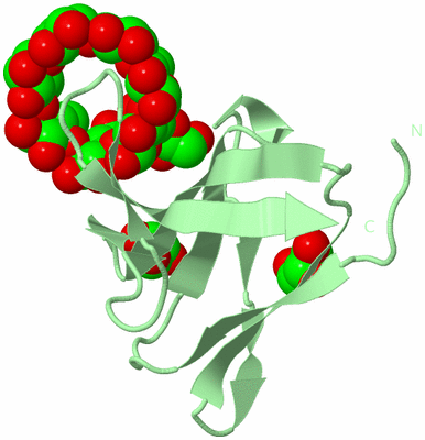 Image Biological Unit 2