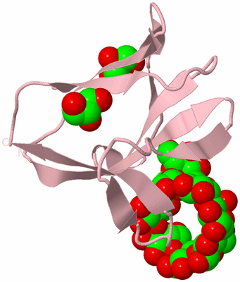 Image Biological Unit 3