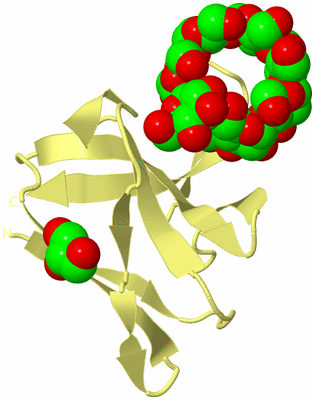 Image Biological Unit 4