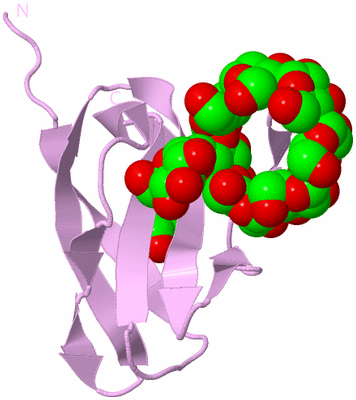 Image Biological Unit 5