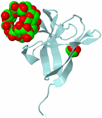 Image Biological Unit 6