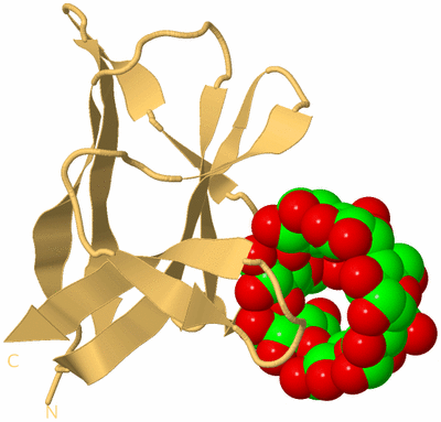 Image Biological Unit 7