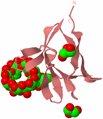 Image Biological Unit 8