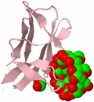 Image Biological Unit 3