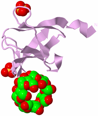 Image Biological Unit 5