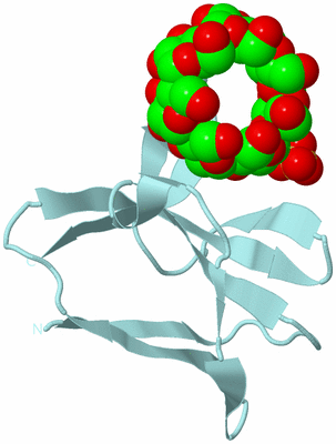 Image Biological Unit 6