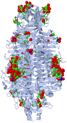 Image Biol. Unit 1 - sites