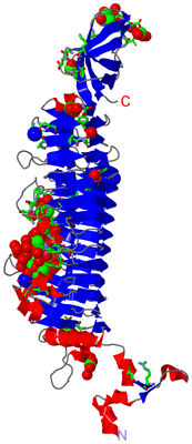 Image Asym. Unit - sites