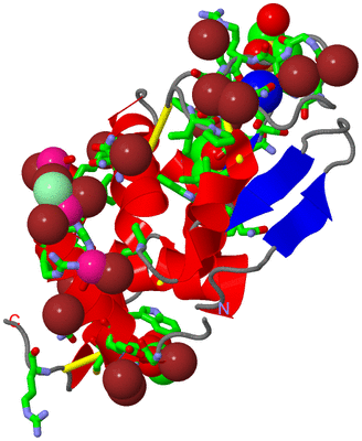 Image Asym./Biol. Unit - sites