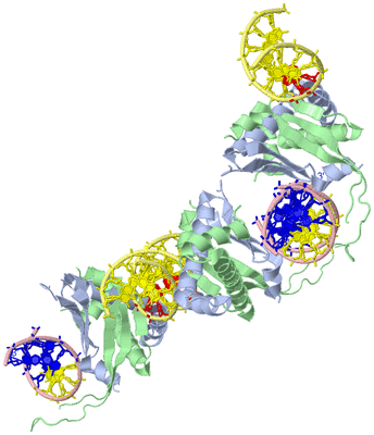 Image Biological Unit 1