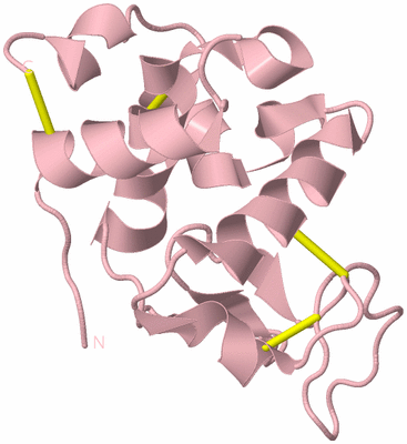 Image Biological Unit 3