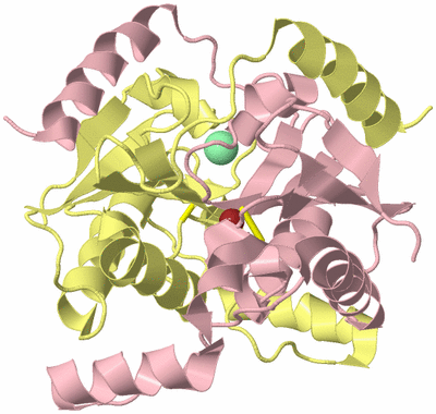 Image Biological Unit 2