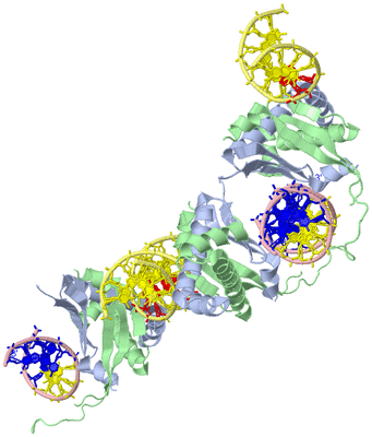 Image Biological Unit 1