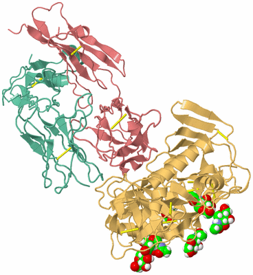 Image Biological Unit 1