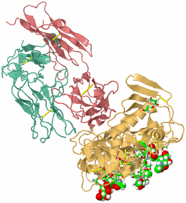 Image Biol. Unit 1 - sites