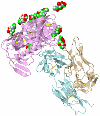 Image Biological Unit 2