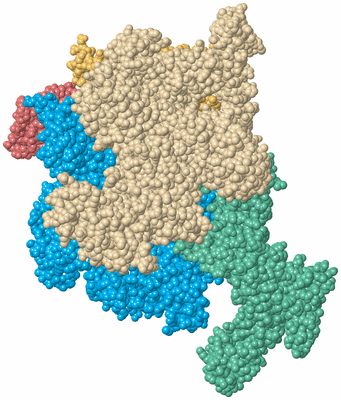 Image Biological Unit 2