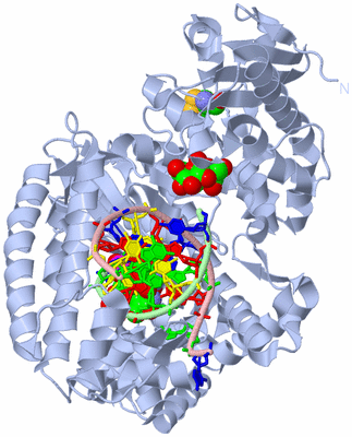 Image Biological Unit 1