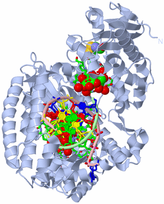 Image Biol. Unit 1 - sites