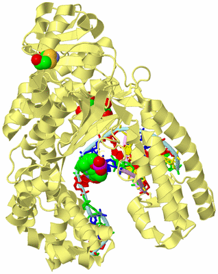 Image Biological Unit 2