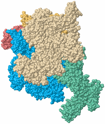 Image Biological Unit 2