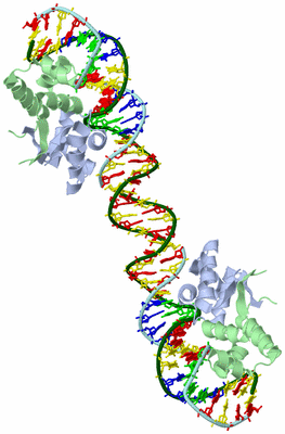 Image Biological Unit 1