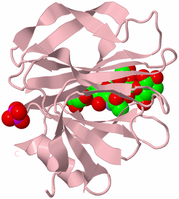 Image Biological Unit 3