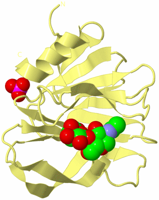 Image Biological Unit 4