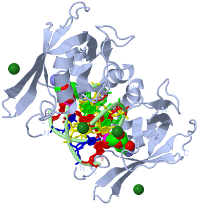 Image Biological Unit 1