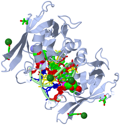 Image Biol. Unit 1 - sites