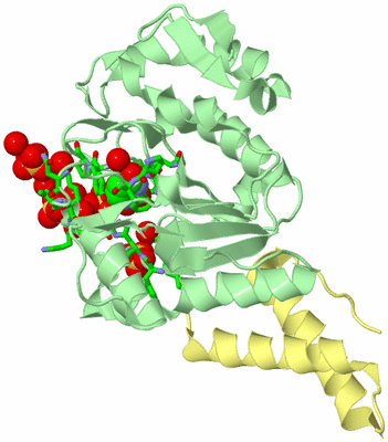 Image Biol. Unit 1 - sites