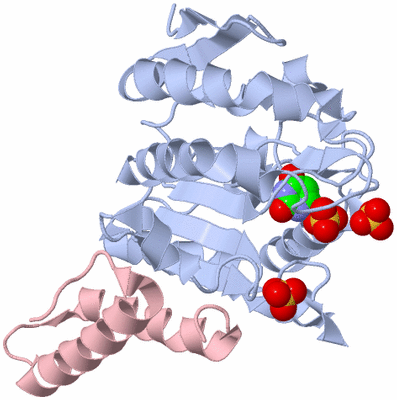 Image Biological Unit 2