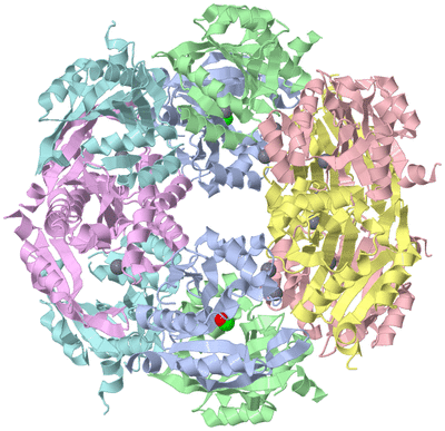 Image Biological Unit 1