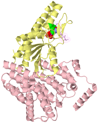 Image Biological Unit 2