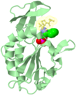 Image Biological Unit 2