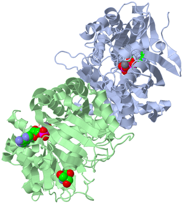 Image Asym./Biol. Unit