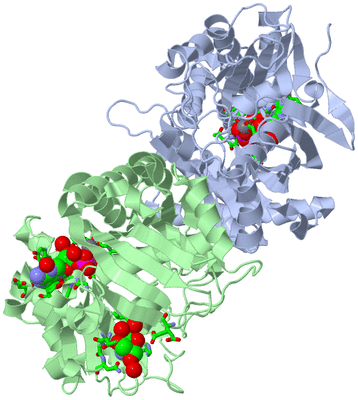 Image Asym./Biol. Unit - sites