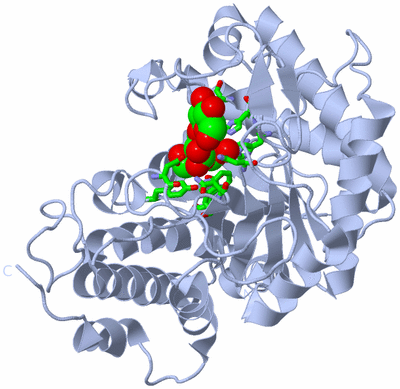 Image Biol. Unit 1 - sites