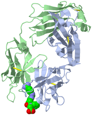 Image Biological Unit 1