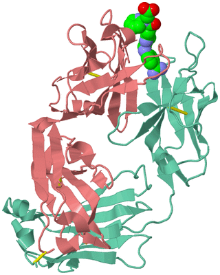 Image Biological Unit 2