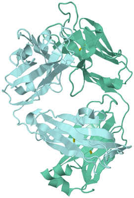 Image Biological Unit 2