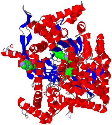 Image Asym./Biol. Unit