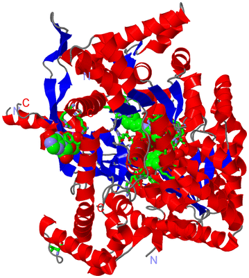 Image Asym./Biol. Unit - sites