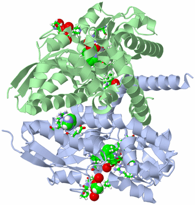 Image Asym./Biol. Unit - sites