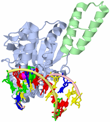 Image Biological Unit 1