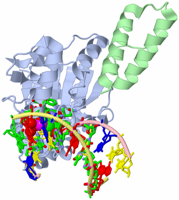 Image Biol. Unit 1 - sites