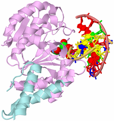 Image Biological Unit 2