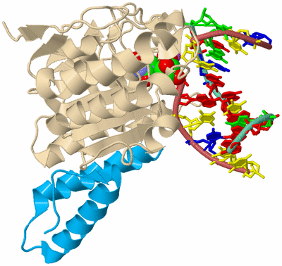 Image Biological Unit 3