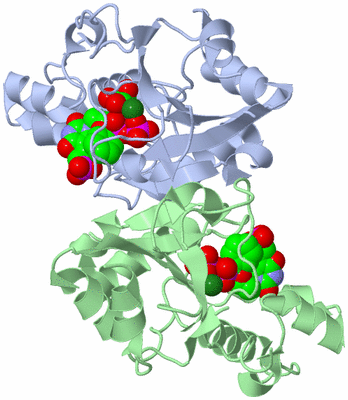 Image Asym./Biol. Unit